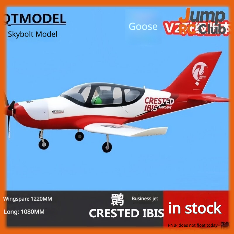 Rc Hobby Plane - Avión de Control Remoto Modelo QT,
